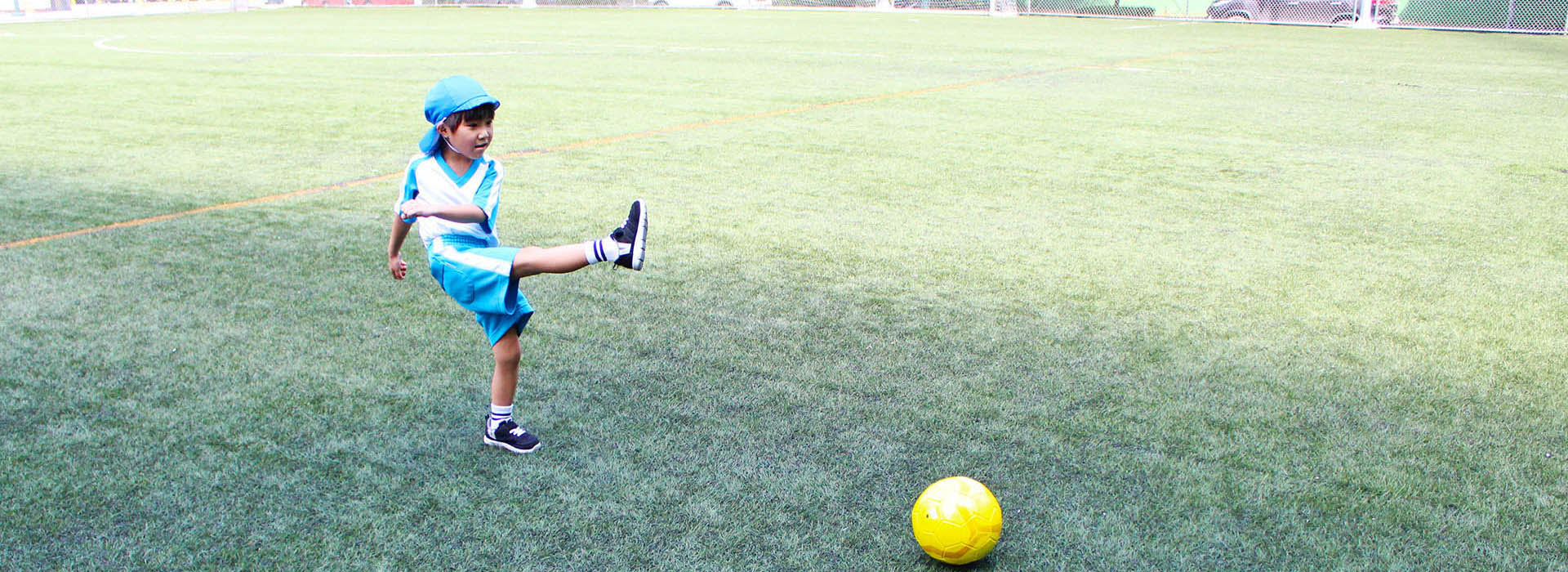 たくさんの体験